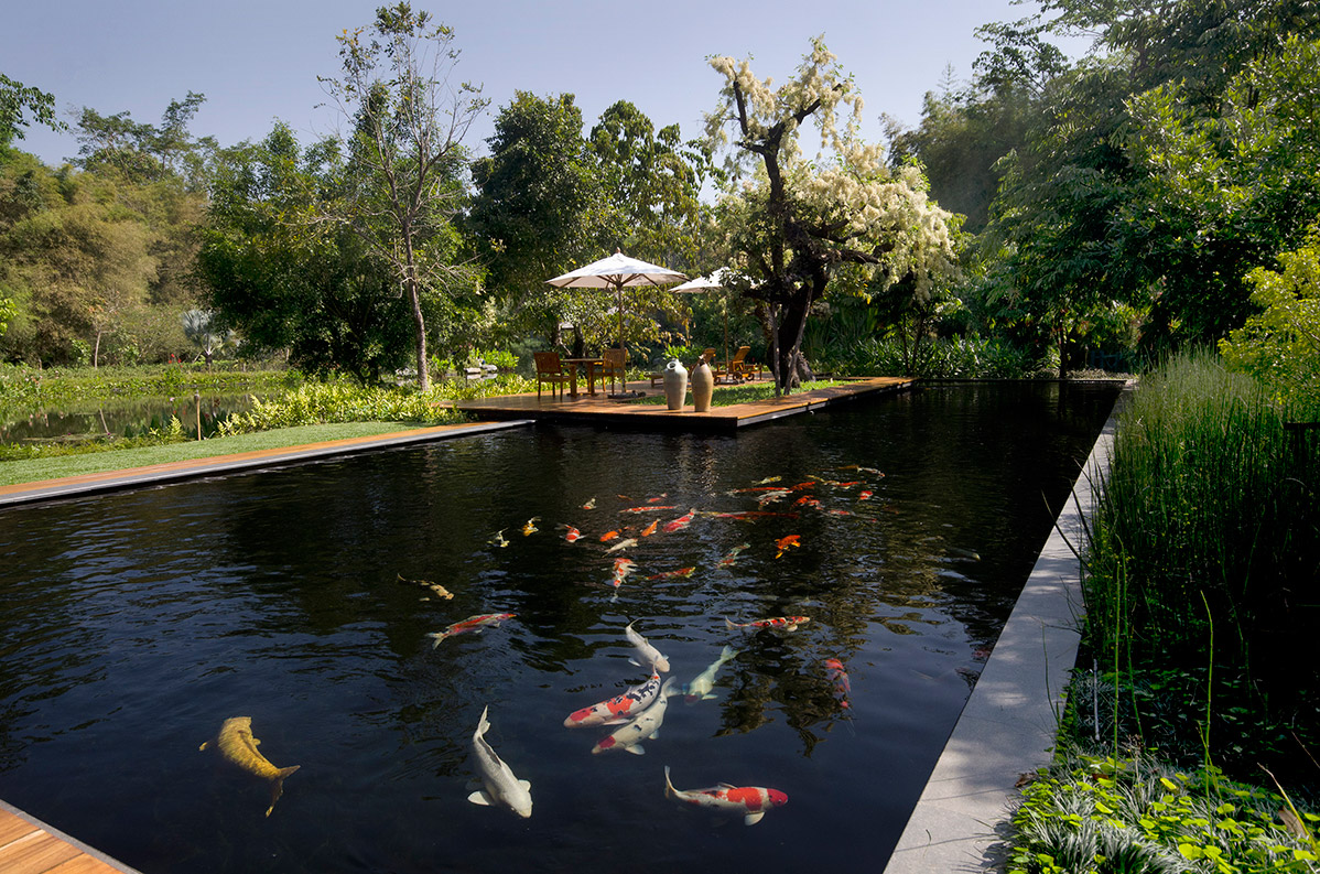 Private Koi Pond Luxury Villa Chiang Rai Northern Thailand